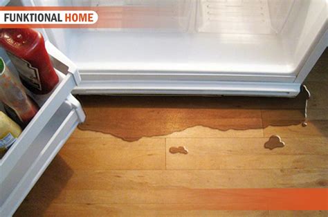 Refrigerator Leaking Water